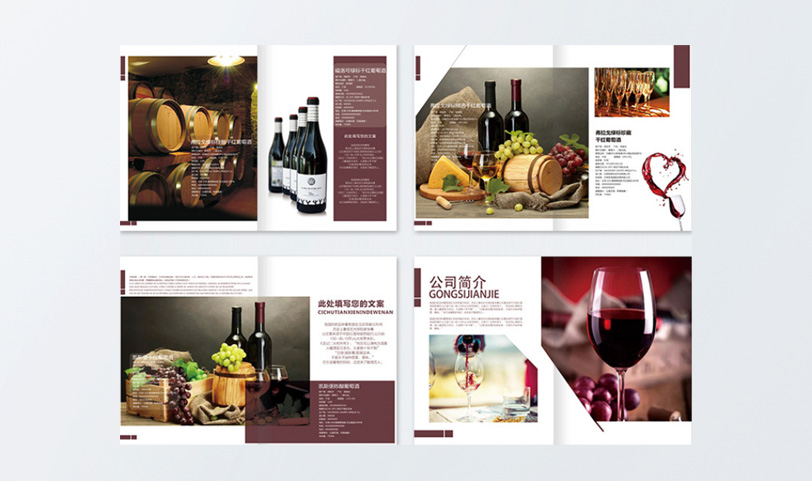 產(chǎn)品手冊印刷-A5[規(guī)格210*140mm]啞粉紙-封面壓紋、(圖2)