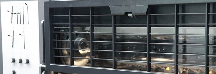 你需要收集哪些圖片來建立家譜？(圖1)